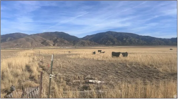 Mountain view featuring rural landscape