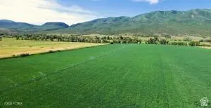Bird's eye view of mountains