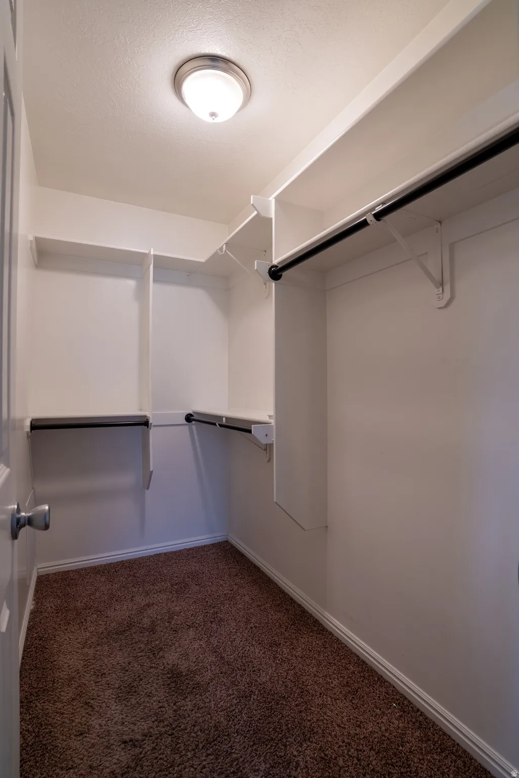 Walk in closet featuring dark carpet