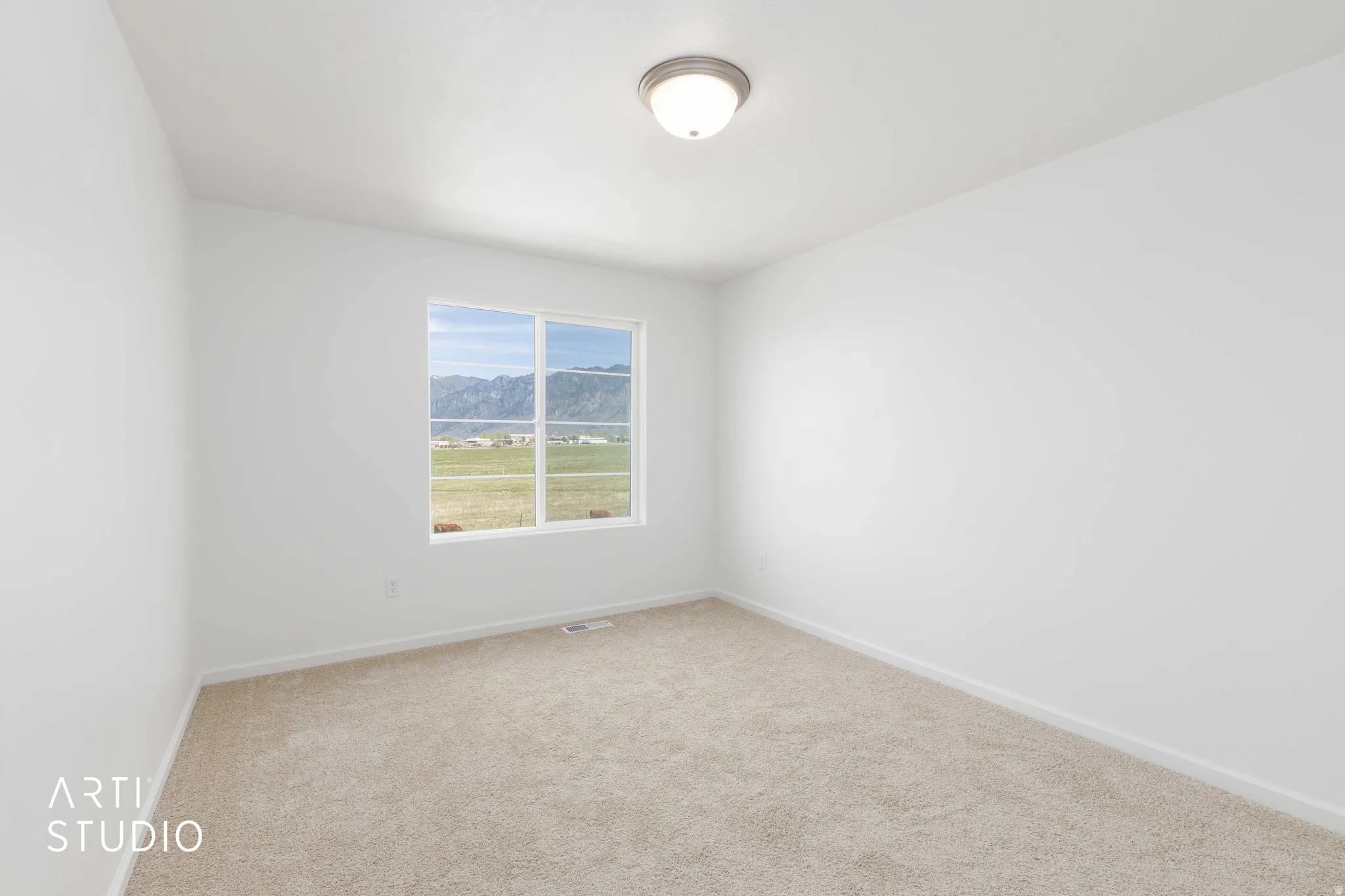 Unfurnished room with a mountain view and carpet flooring