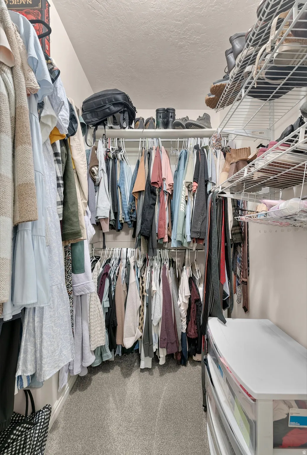 Walk in closet with light colored carpet