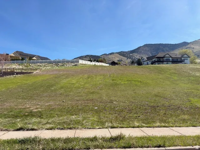 View of mountain background