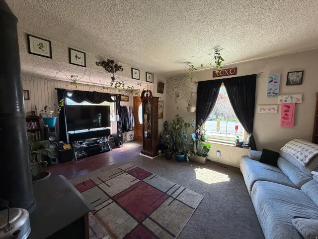 Carpeted living room featuring a textured ceiling and a wood stove