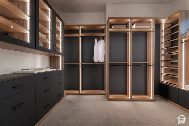 Walk in closet with light colored carpet