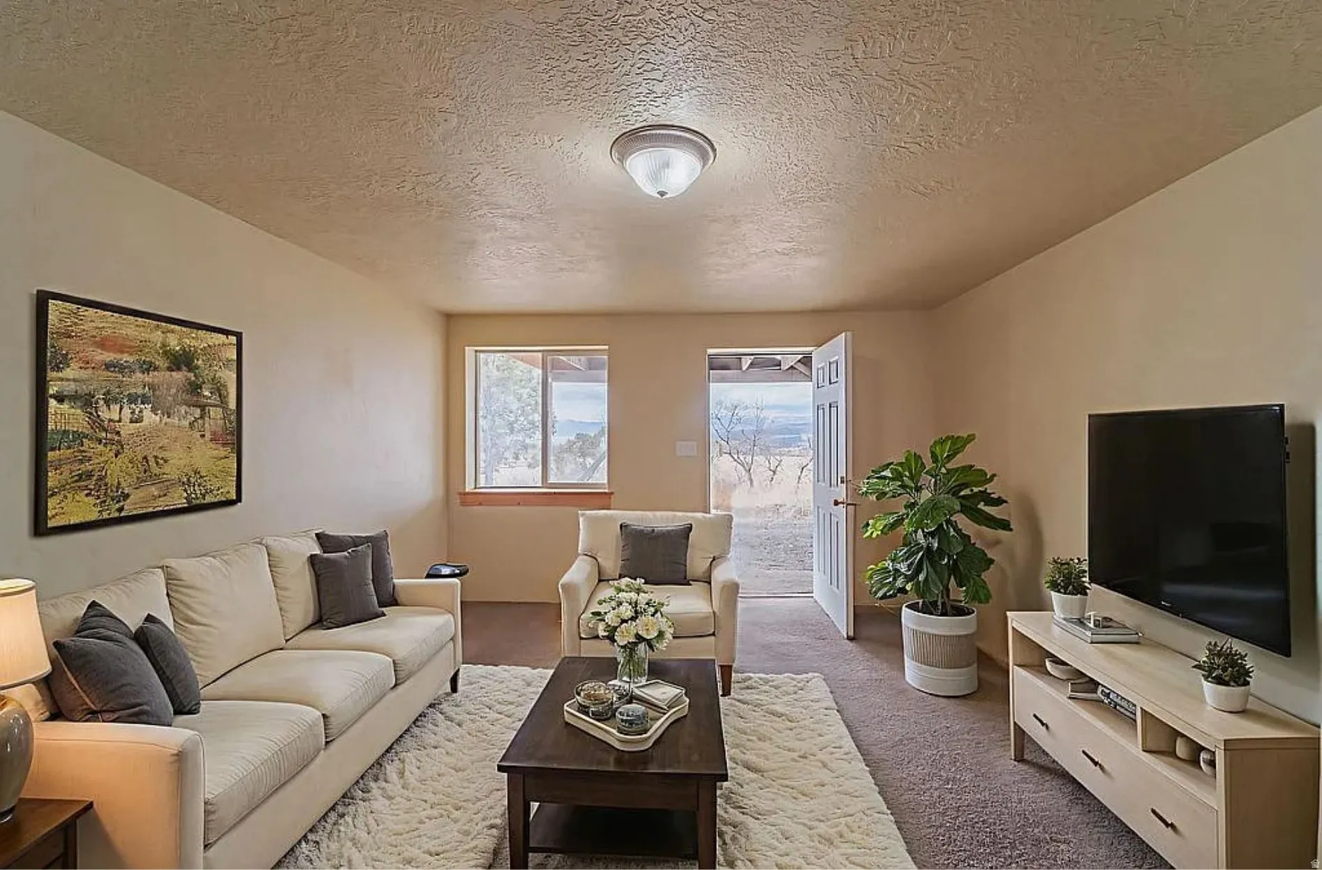 Living area with a textured ceiling and carpet floors