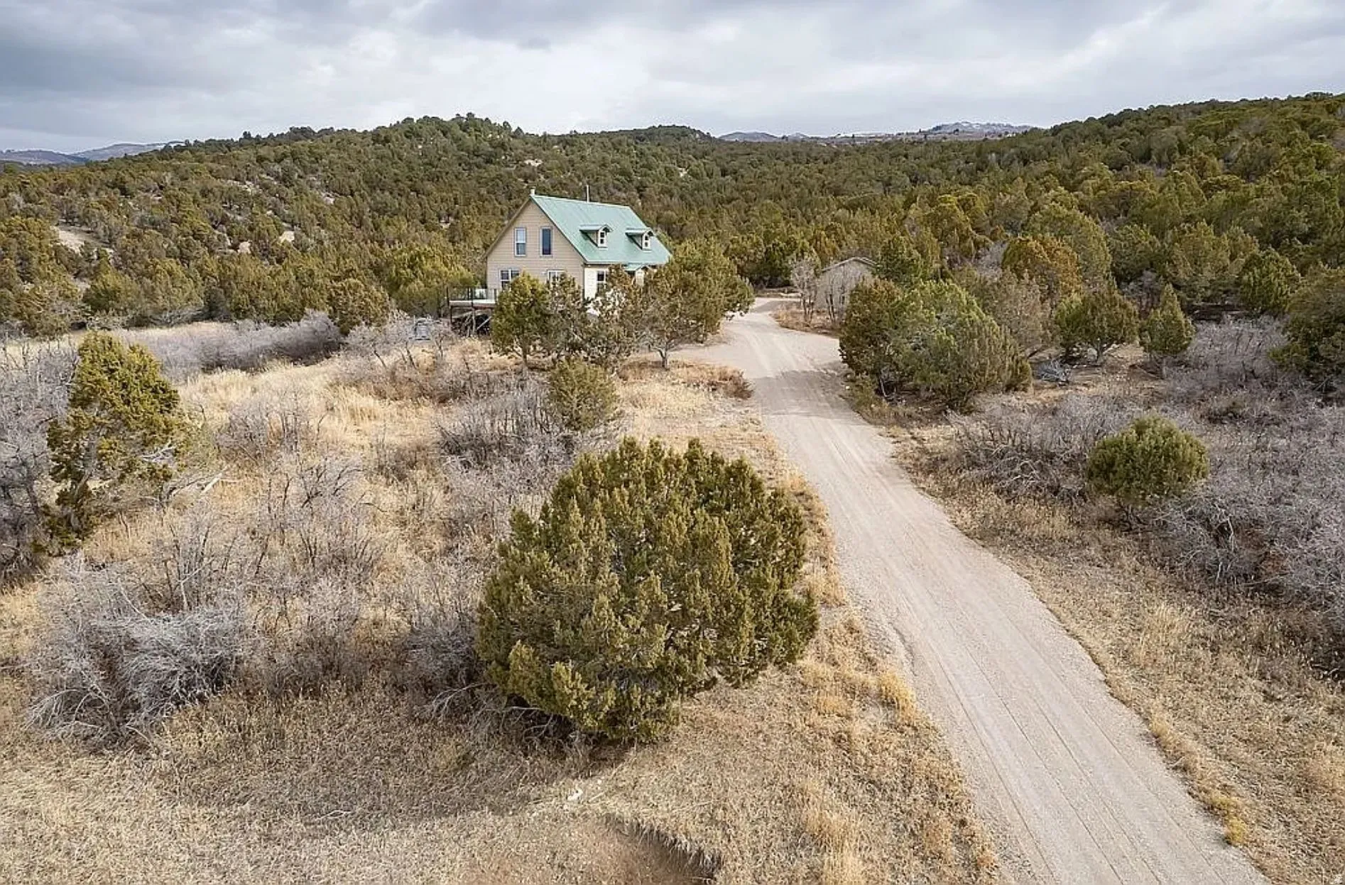 Aerial view of a forest