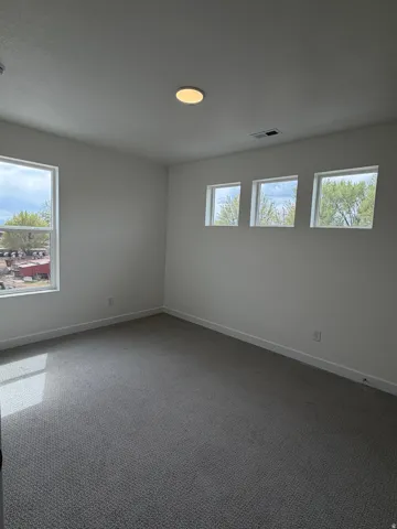 Spare room featuring carpet and plenty of natural light