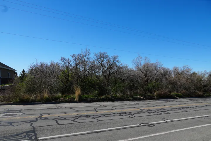 View of asphalt road with view of wooded area