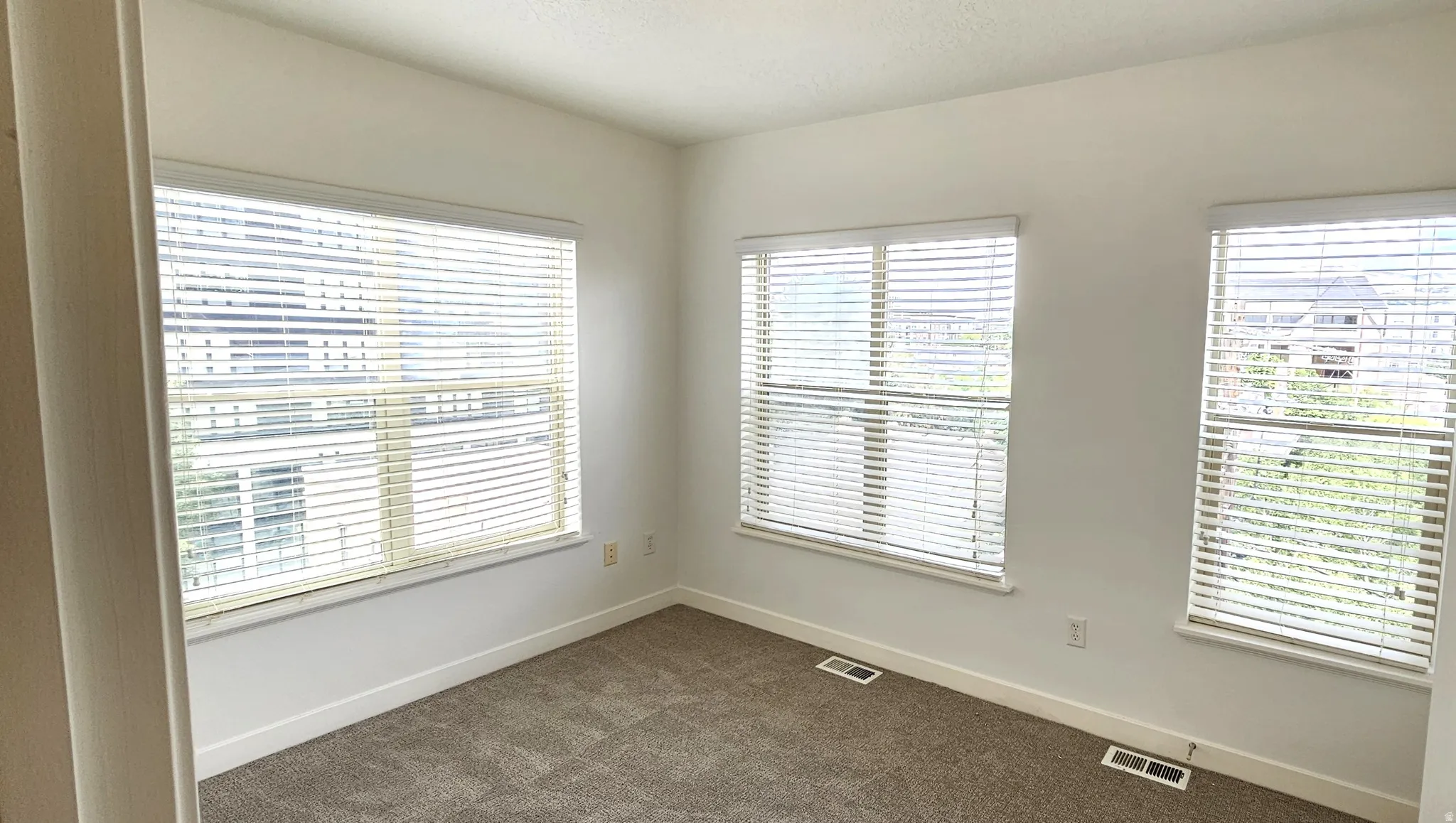Neutral wall color, carpet flooring, and multiple windows with blinds