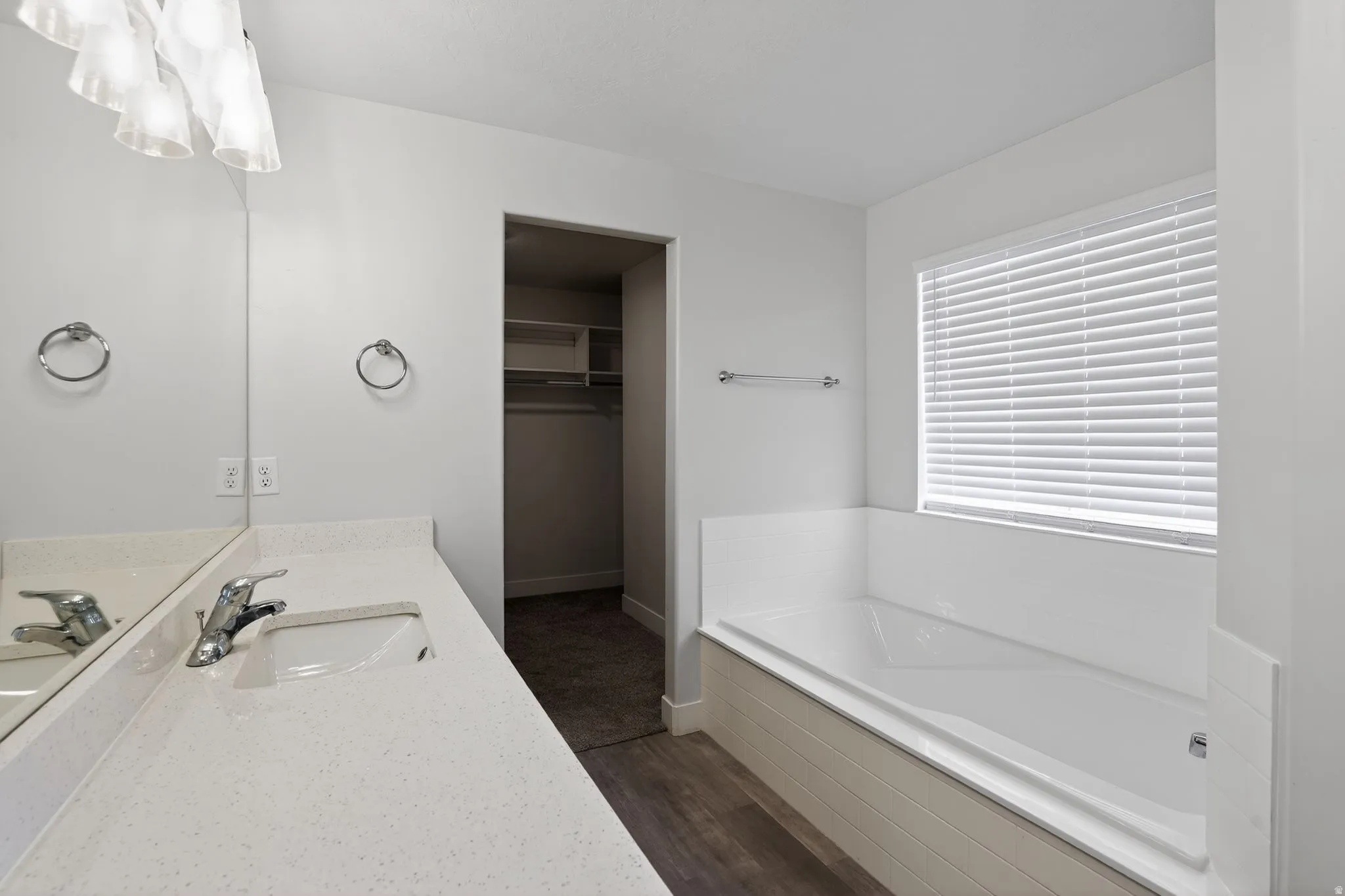 Bathroom with vanity, a garden tub, a walk in closet, and dark wood finished floors