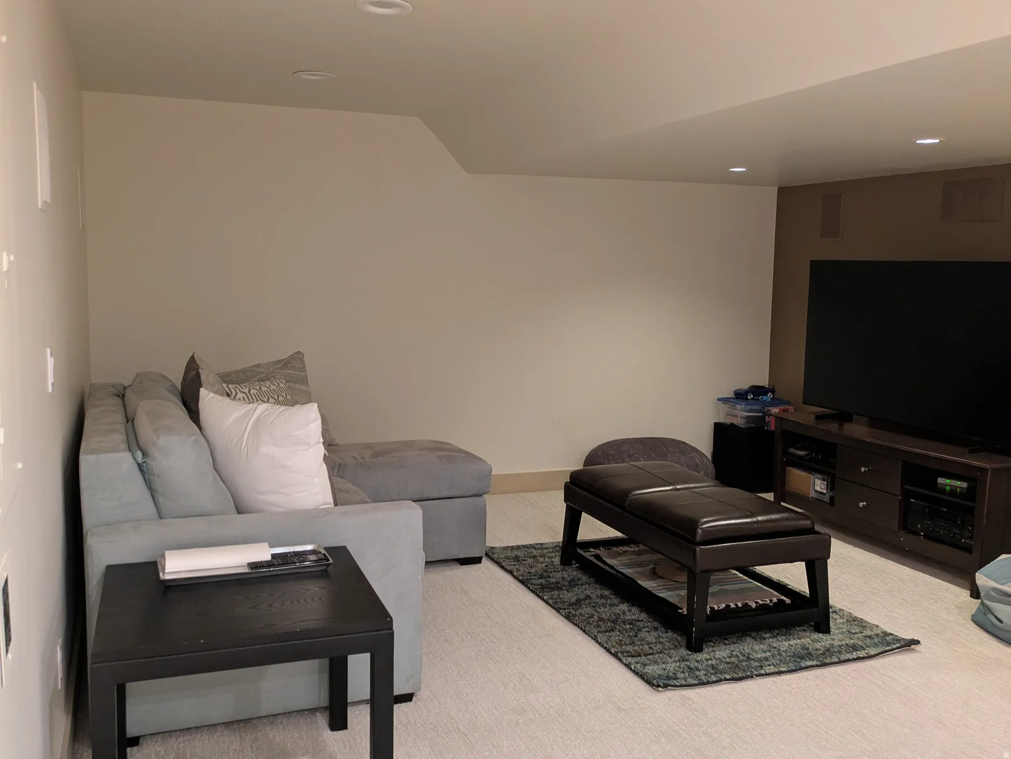 Lower Family room with recessed lighting and light colored carpet