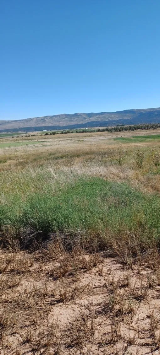 Water view featuring rural landscape and mountains