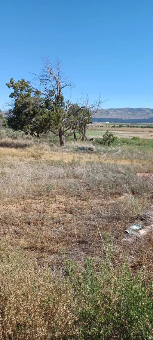 View of nature with rural landscape