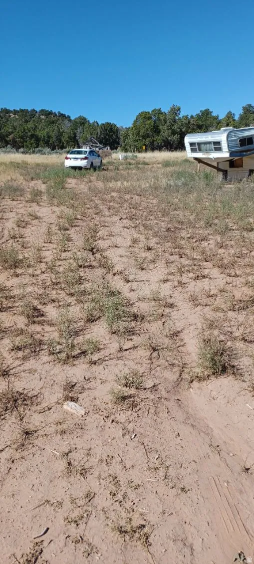 View of yard featuring a view of rural / pastoral area