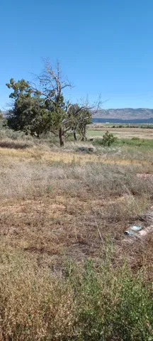 View of nature with rural landscape