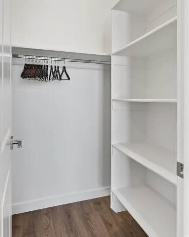 Walk in closet with dark wood-type flooring