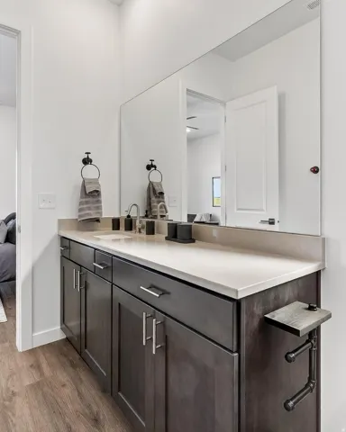 Ensuite bathroom featuring vanity and dark wood-style flooring