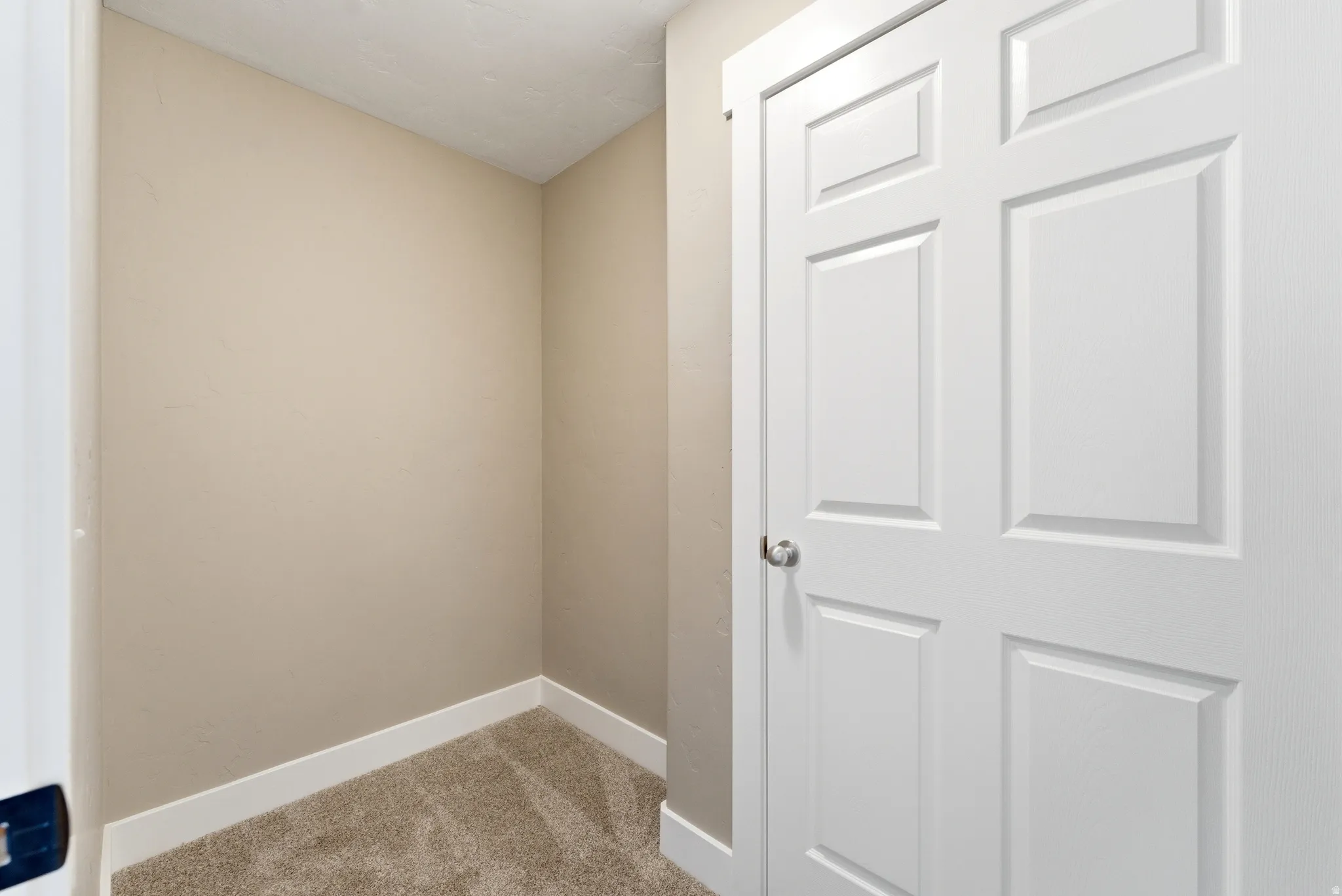 Interior space featuring baseboards and light colored carpet