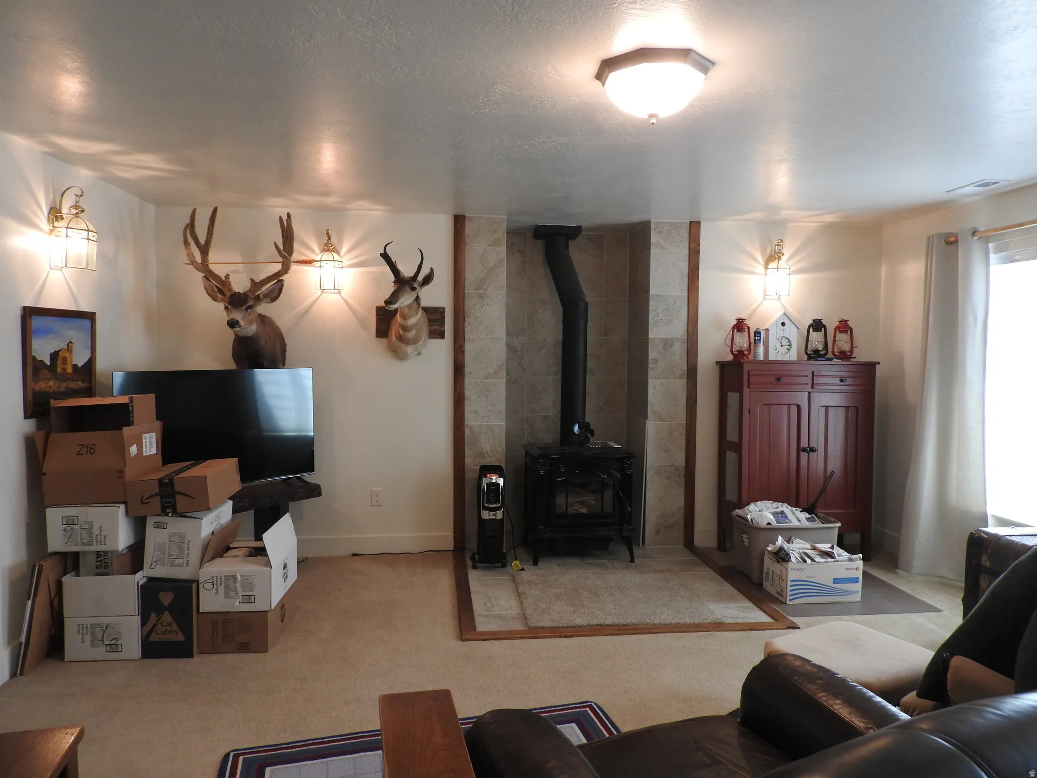 Living room with carpet, a wood stove, and a textured ceiling