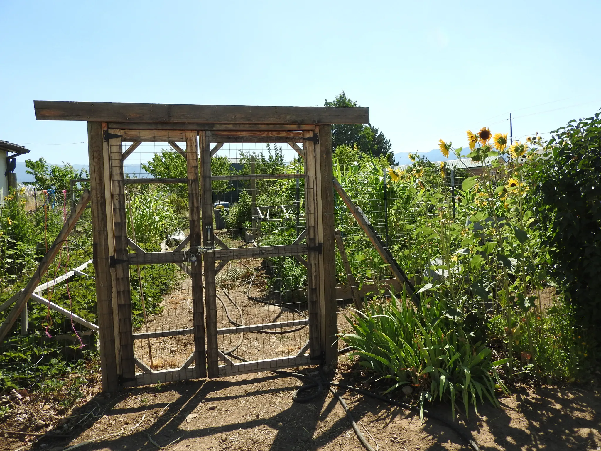 View of gate