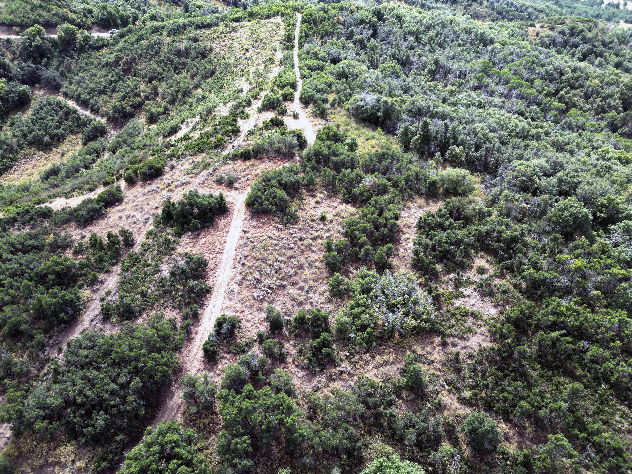 Aerial view of sparsely populated area with a forest