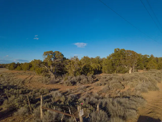 View of undeveloped land