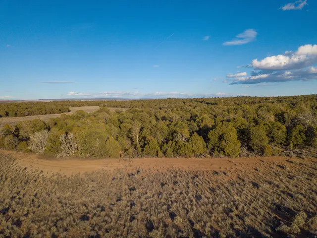 View of woods