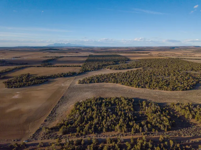 Overview of rural landscape