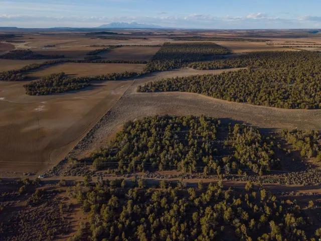 Aerial view of sparsely populated area