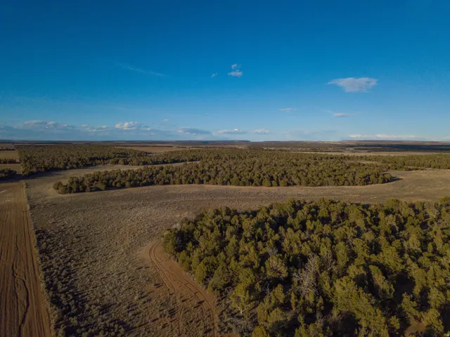 Overview of rural landscape