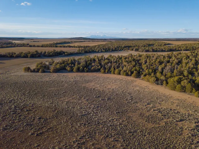 Overview of rural landscape
