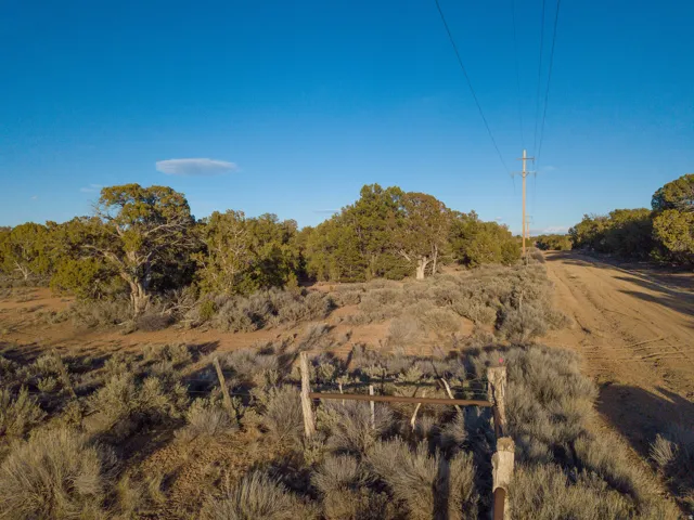 View of undeveloped land