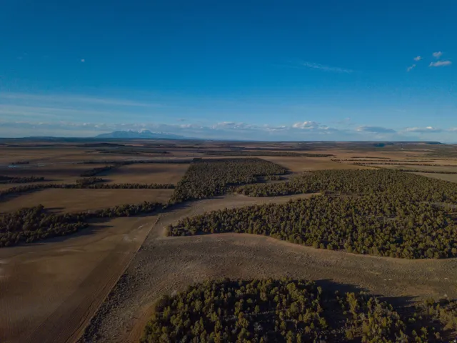 Aerial view of sparsely populated area