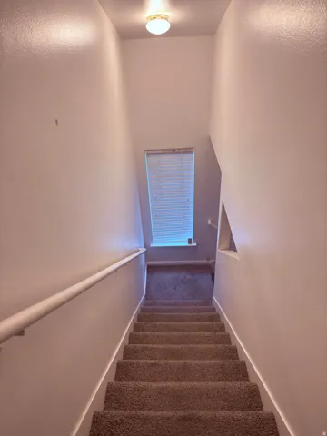 Staircase featuring carpet floors