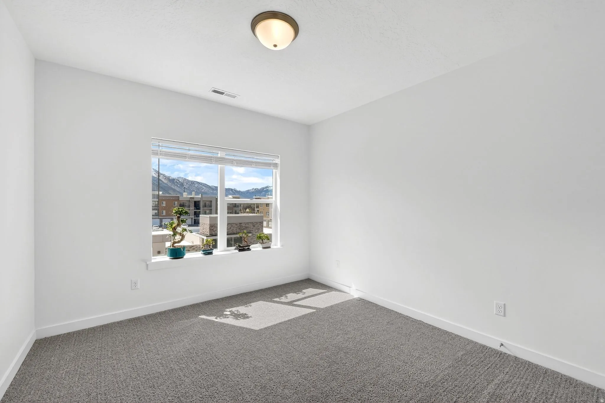 Carpeted empty room with a mountain view and baseboards