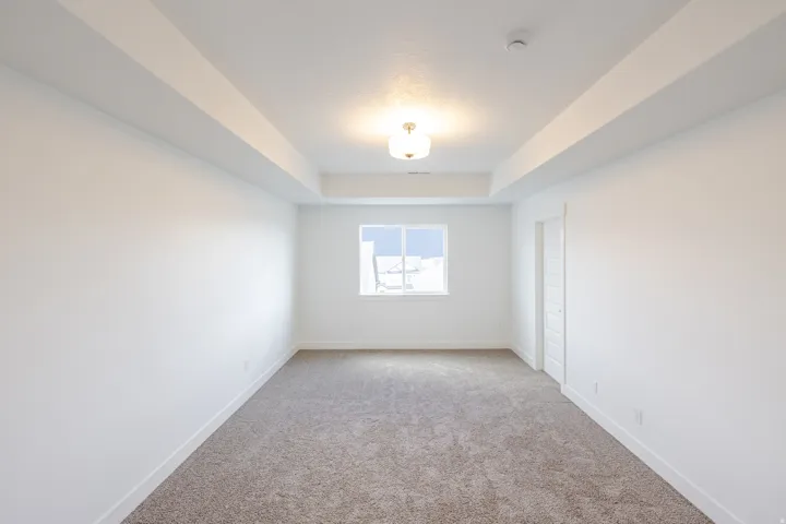 Bright room featuring a tray ceiling with a central flush mount light fixture, a single window, and neutral-toned carpeting