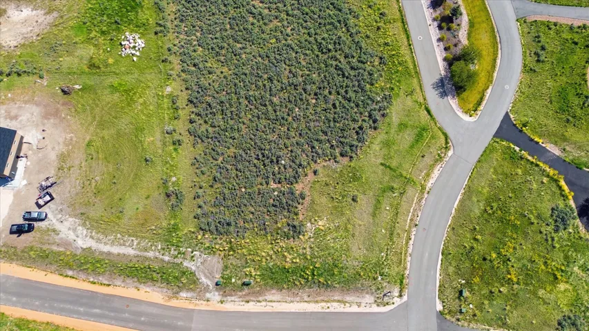 Expansive undeveloped lot featuring natural shrubbery and surrounding green space