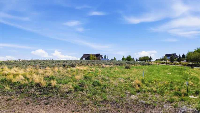 Expansive lot featuring varied terrain with natural grasses and scattered brush