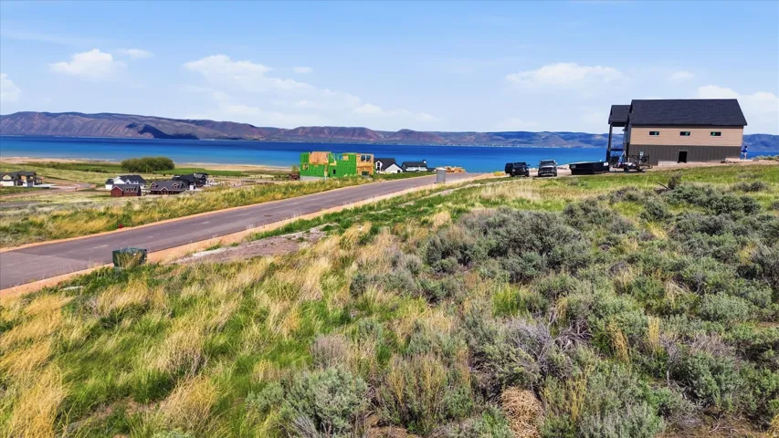 Expansive undeveloped lot featuring natural vegetation and a paved road