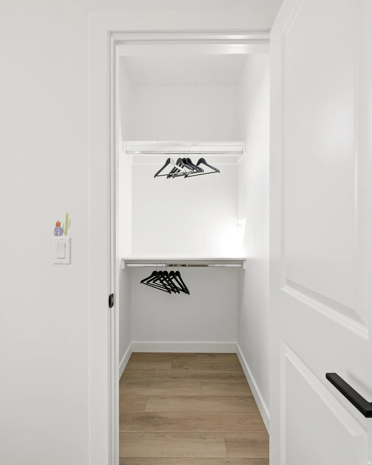 Walk in closet featuring light wood-style flooring