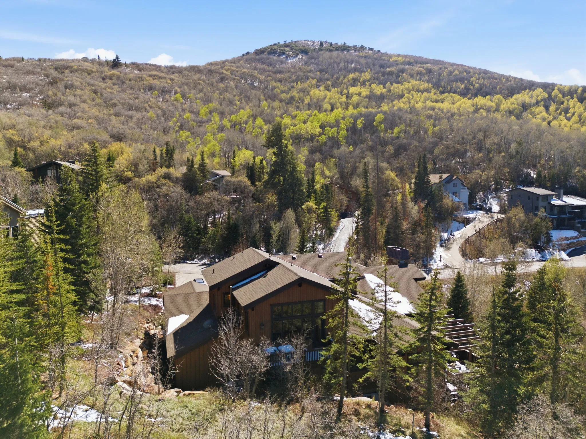 Bird's eye view of a heavily wooded area
