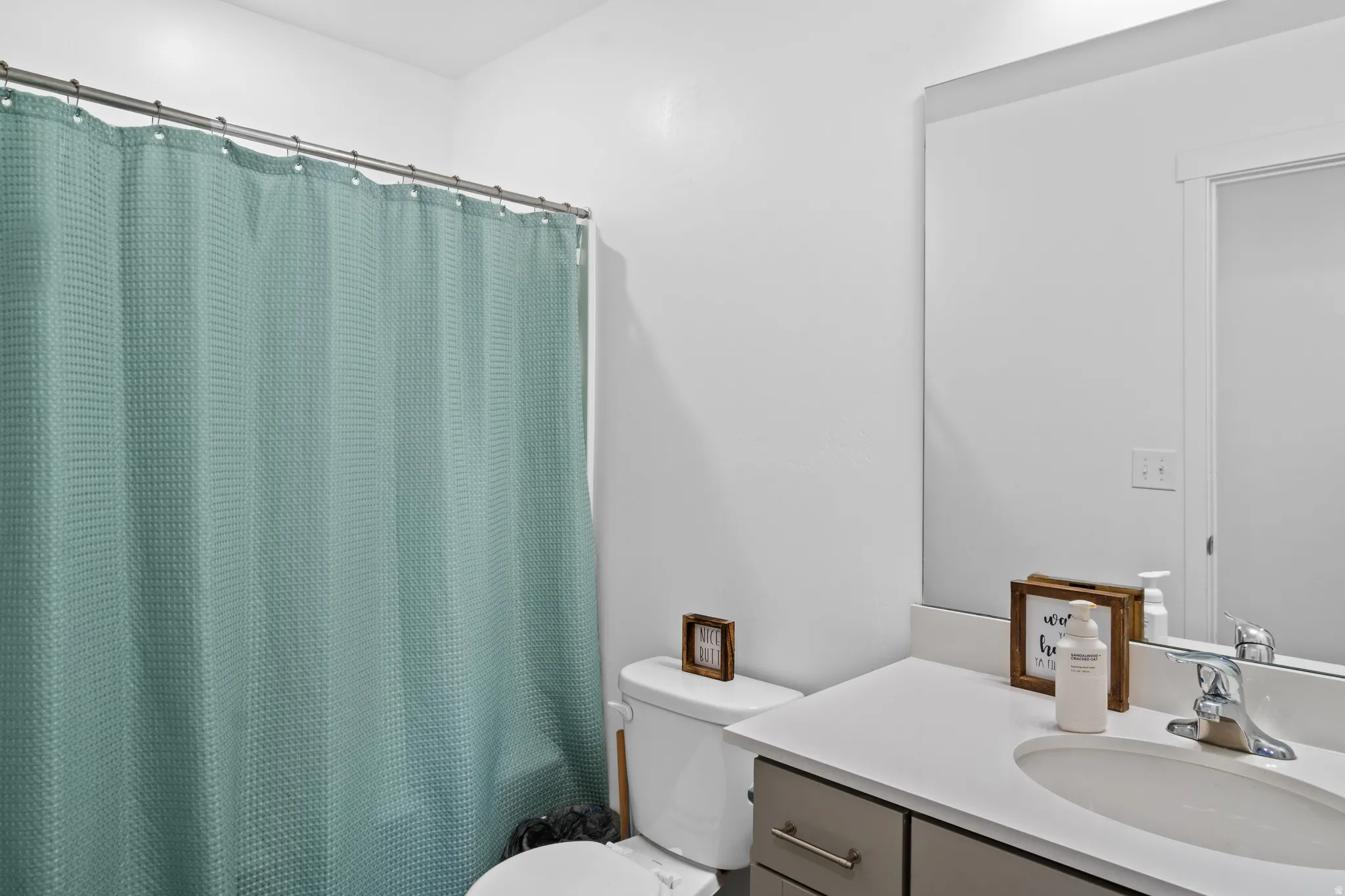 Bathroom featuring vanity and a shower with shower curtain