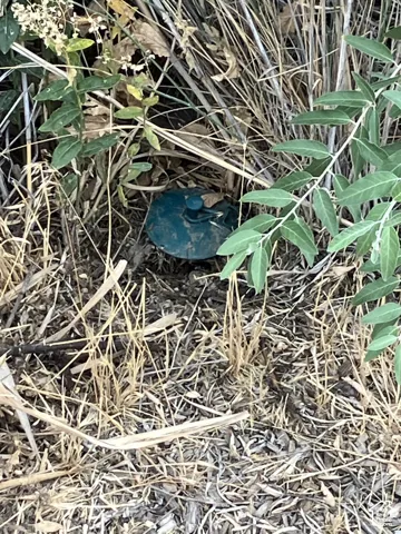 SW Corner Marker on the east side of the JRT
