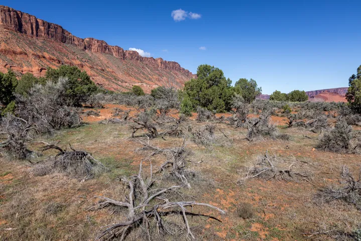 134 W Buchanan Ln, Castle Valley, Utah 84532