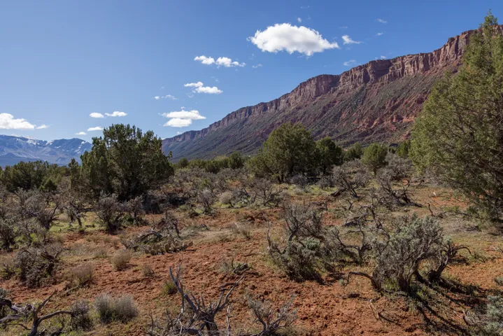 134 W Buchanan Ln, Castle Valley, Utah 84532