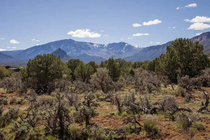 134 W Buchanan Ln, Castle Valley, Utah 84532