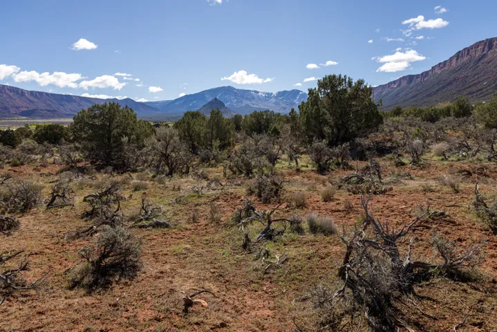 134 W Buchanan Ln, Castle Valley, Utah 84532