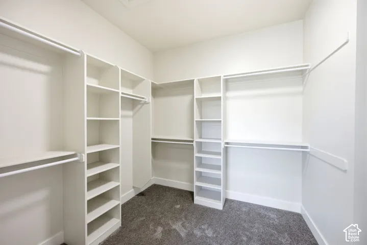 Walk-in closet featuring built-in white shelving, hanging rods, and dark gray carpeting