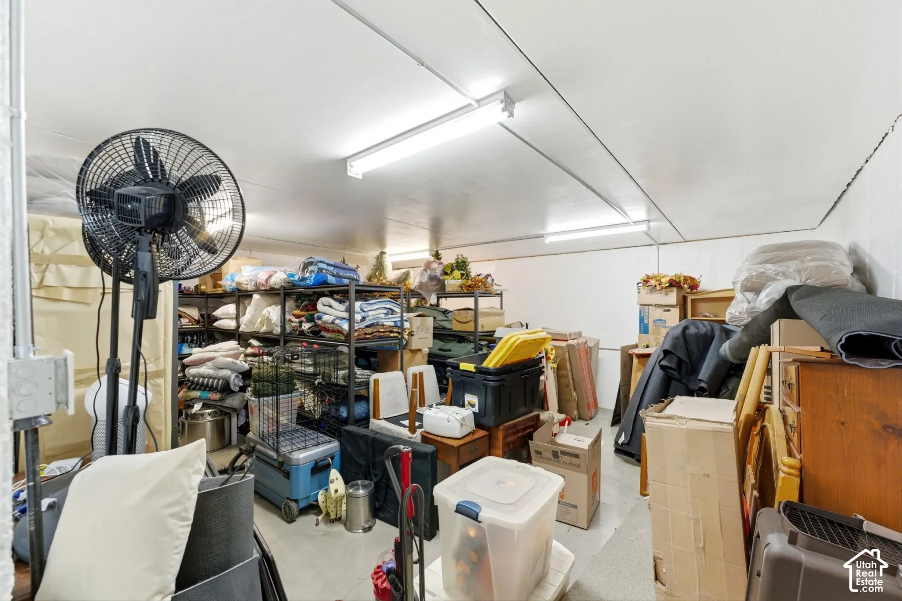 MASSIVE Storage under the garage