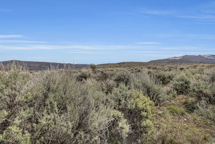 View of mountain backdrop with a forest